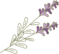 アトリエ紫雲英は、埼玉県八潮市、草加市、足立区、葛飾区、三郷市、越谷市に寄せ植えを定期便で毎月おうちにお届けいたします。