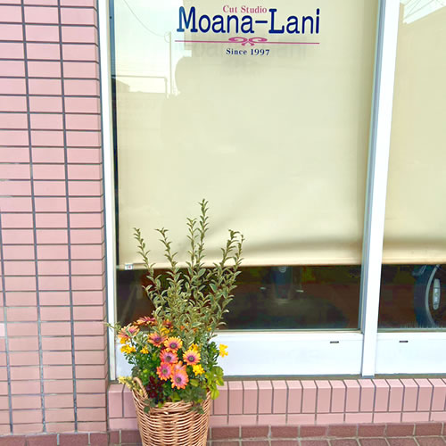 Cut Studio Moana-Lani様（美容室）